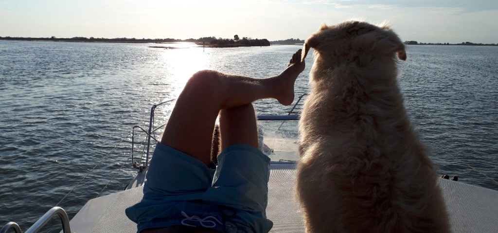 Tiere an Bord Hund Reise Hausboot-Navigation