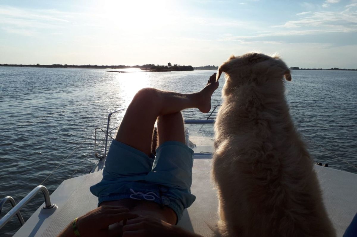 amici a quattro zampe barca houseboat