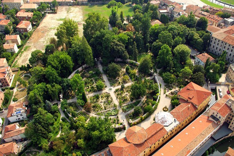 Padua botanical garden aerial view nature
