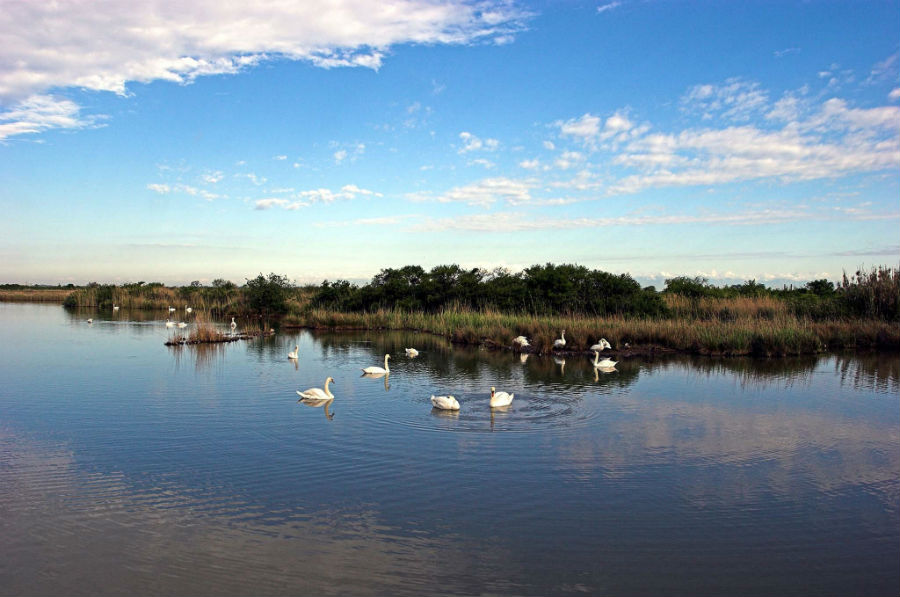 Riserva Naturale della Valle Canal Novo